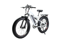 Load image into Gallery viewer, X-Treme Rocky Road 48 Volt 10 Amp Fat Tire Electric Mountain Bicycle